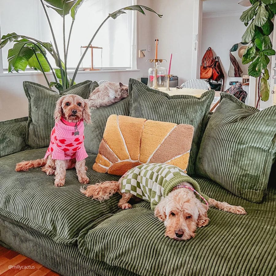 Zenya Sofa